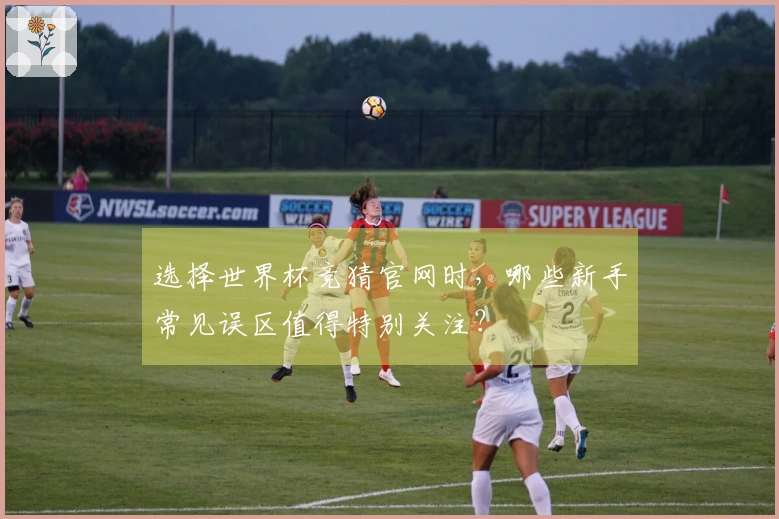 选择世界杯竞猜官网时，哪些新手常见误区值得特别关注？