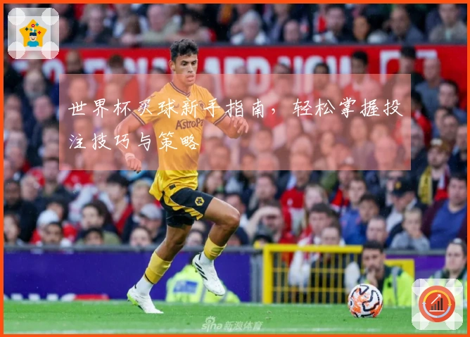 世界杯买球新手指南，轻松掌握投注技巧与策略