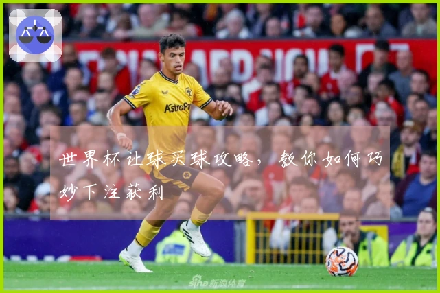 世界杯让球买球攻略，教你如何巧妙下注获利