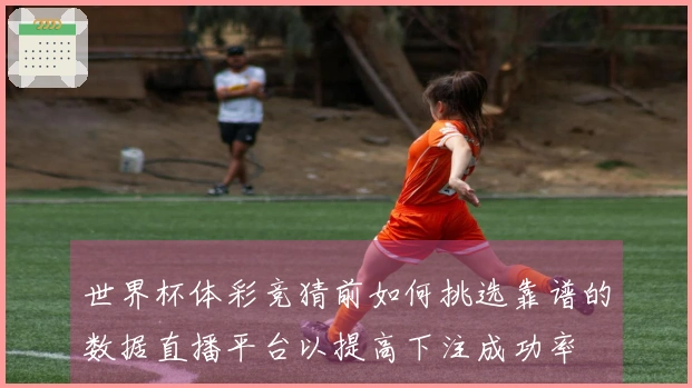 世界杯体彩竞猜前如何挑选靠谱的数据直播平台以提高下注成功率