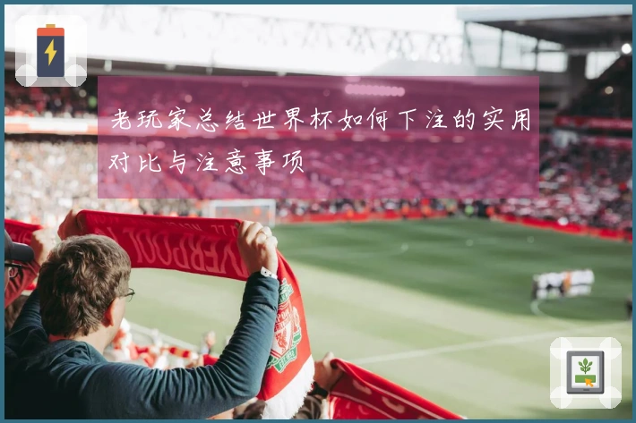 老玩家总结世界杯如何下注的实用对比与注意事项