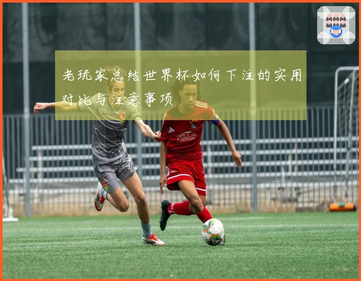 老玩家总结世界杯如何下注的实用对比与注意事项