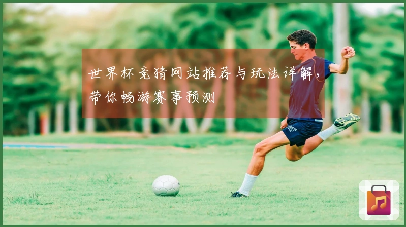 世界杯竞猜网站推荐与玩法详解，带你畅游赛事预测