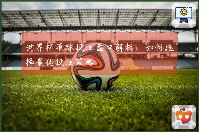 世界杯滚球投注盘口解析，如何选择最优投注策略