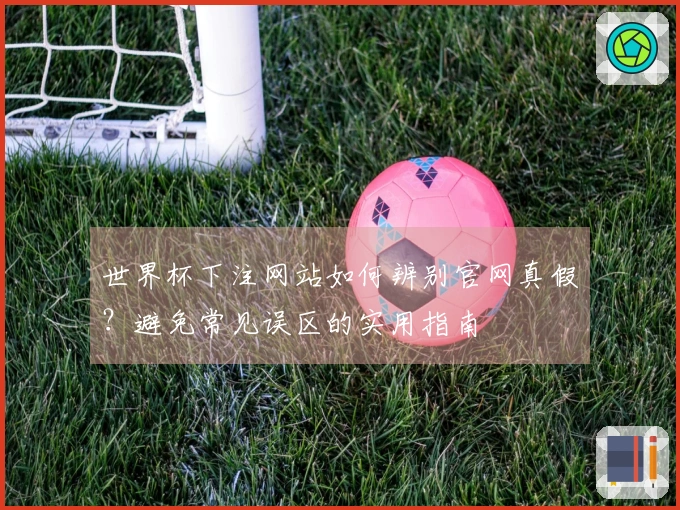 世界杯下注网站如何辨别官网真假？避免常见误区的实用指南