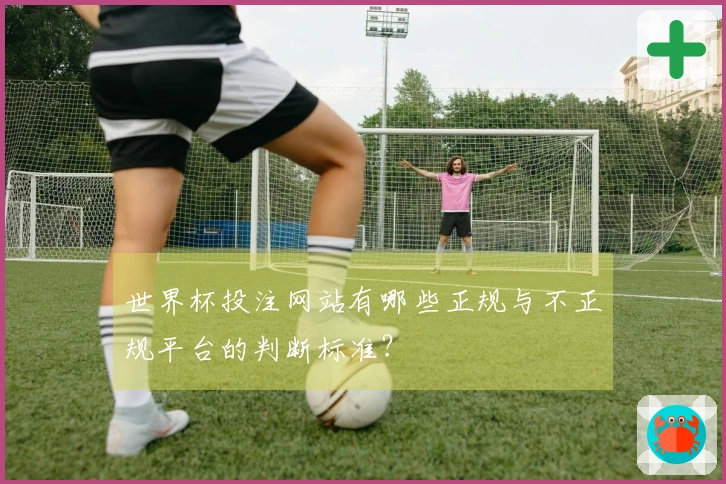 世界杯投注网站有哪些正规与不正规平台的判断标准？