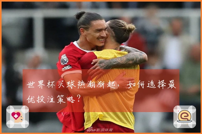 世界杯买球热潮渐起，如何选择最优投注策略？